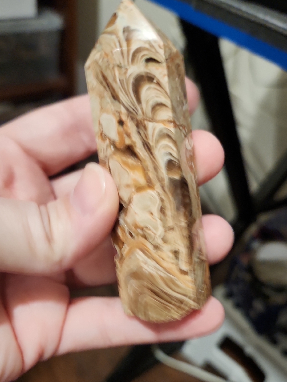 Fossiliferous point